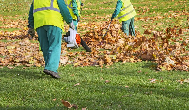 Efficient Leaf Clearing