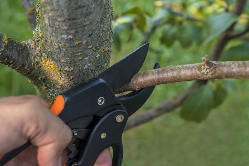 Complex Tree Pruning